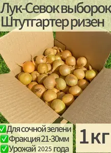Activity Image