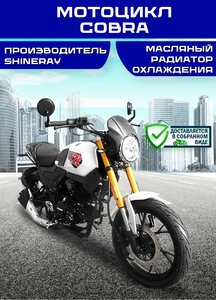 Мотоцикл Мотомир COBRA SRM, 250 куб. см, 21л. с (с банками партнерами)