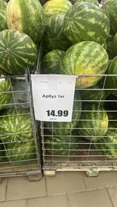 [СПБ] Арбуз 1 кг